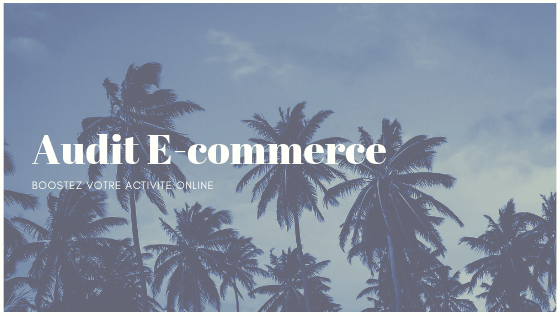 Audit E-commerce