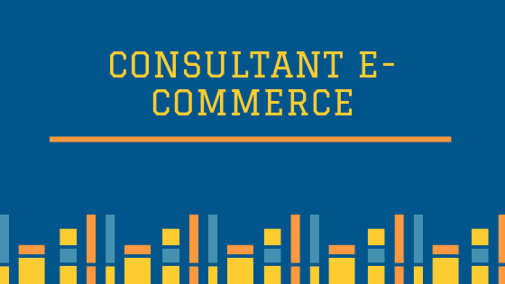Consultant E-commerce